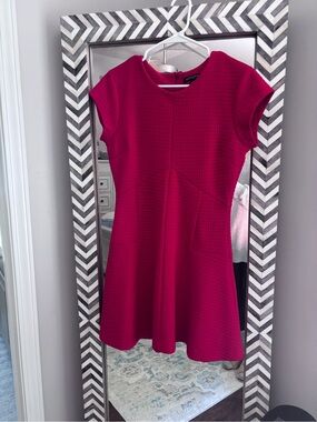 Banana Republic Red Fit-and-Flare Casual Dress